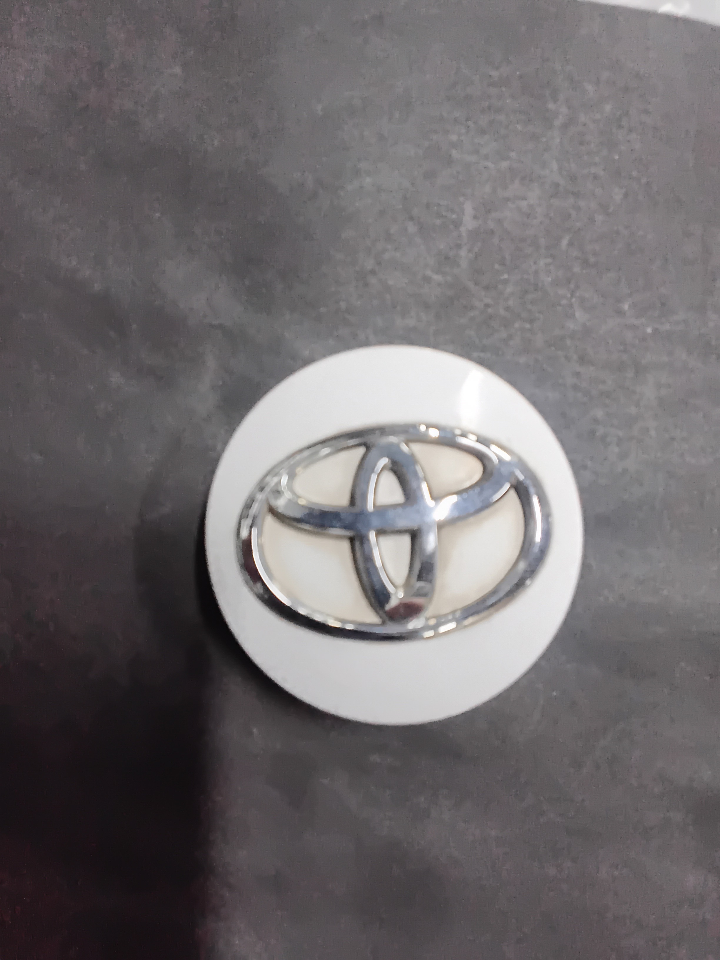 Center Cap — 2012–2014 Toyota Camry