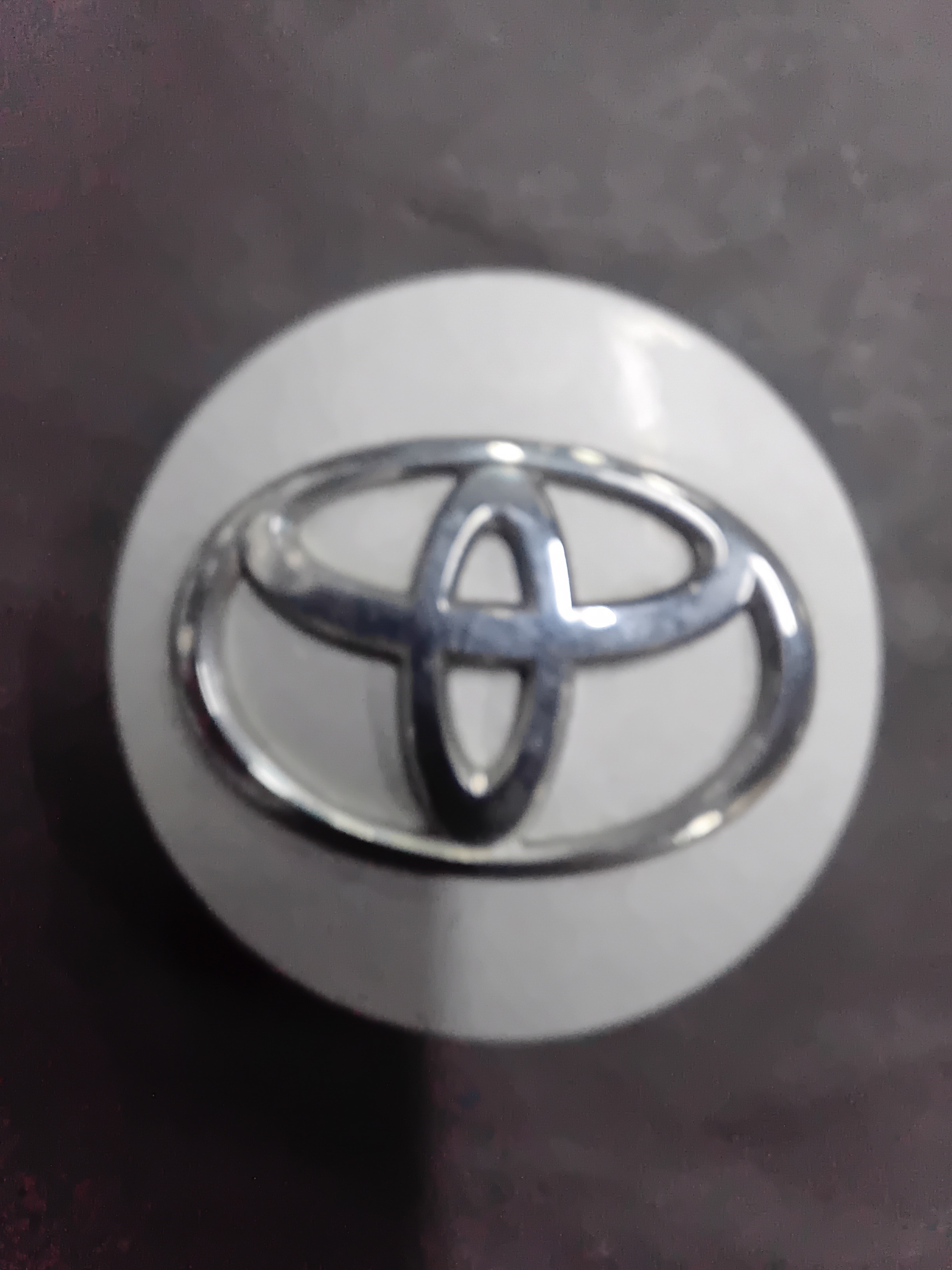 Center Cap — 2012–2014 Toyota Camry